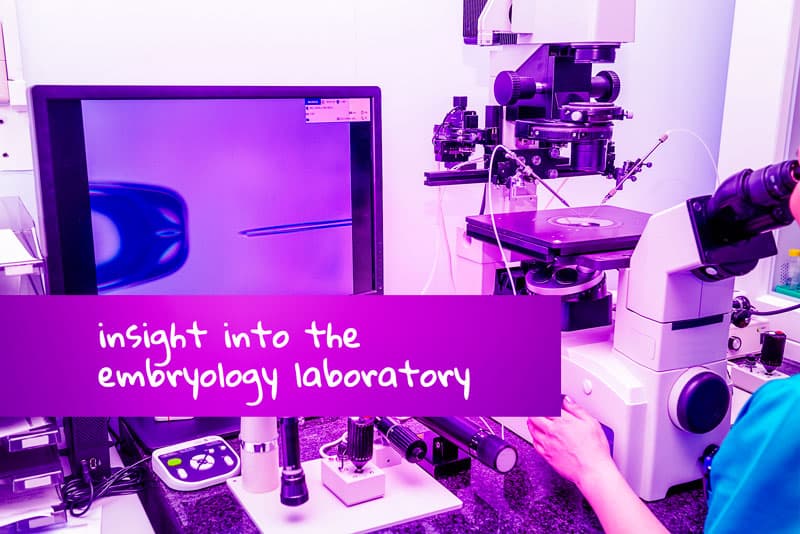 Développement d’embryons en FIV – aperçu du laboratoire d’embryologie