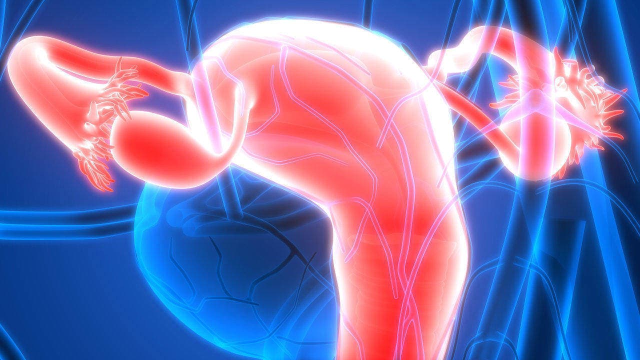 Quelles sont les causes d’obstruction des trompes de Fallope ?