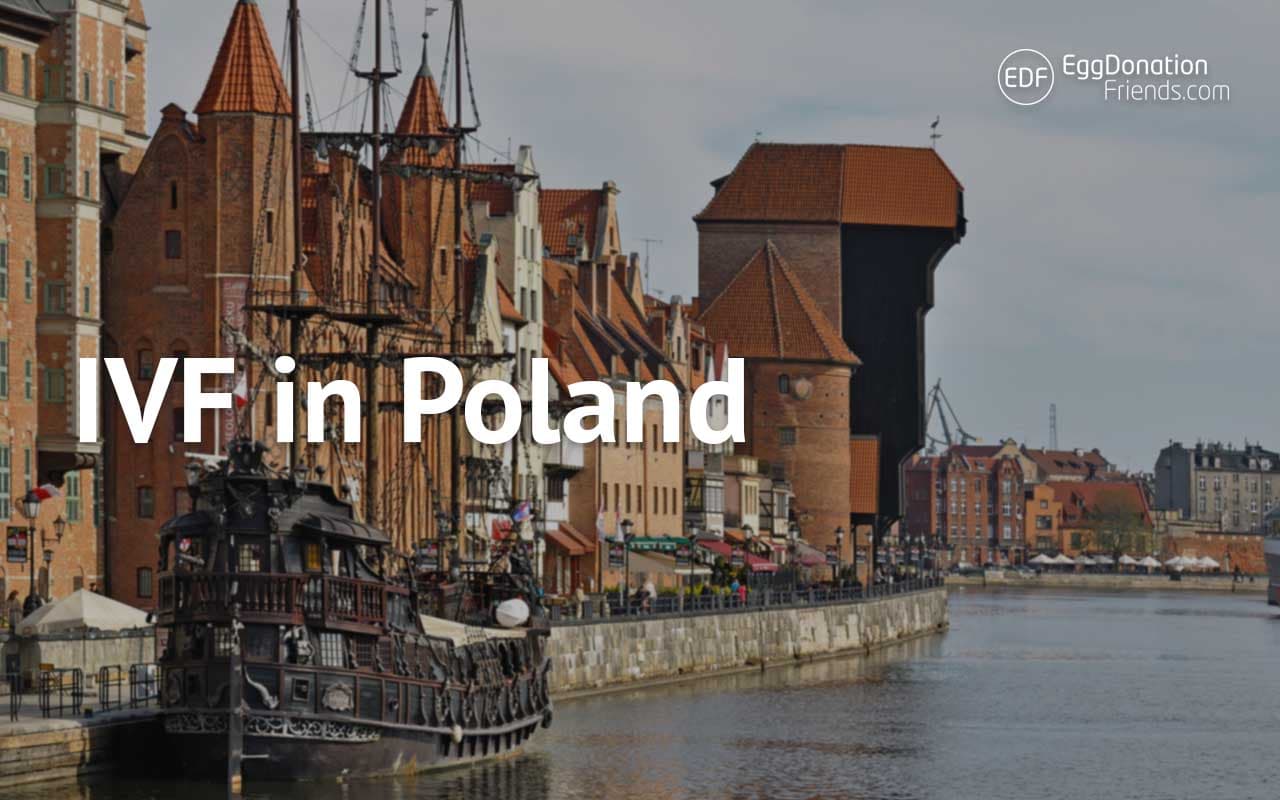 FIV et don d’ovocytes en Pologne