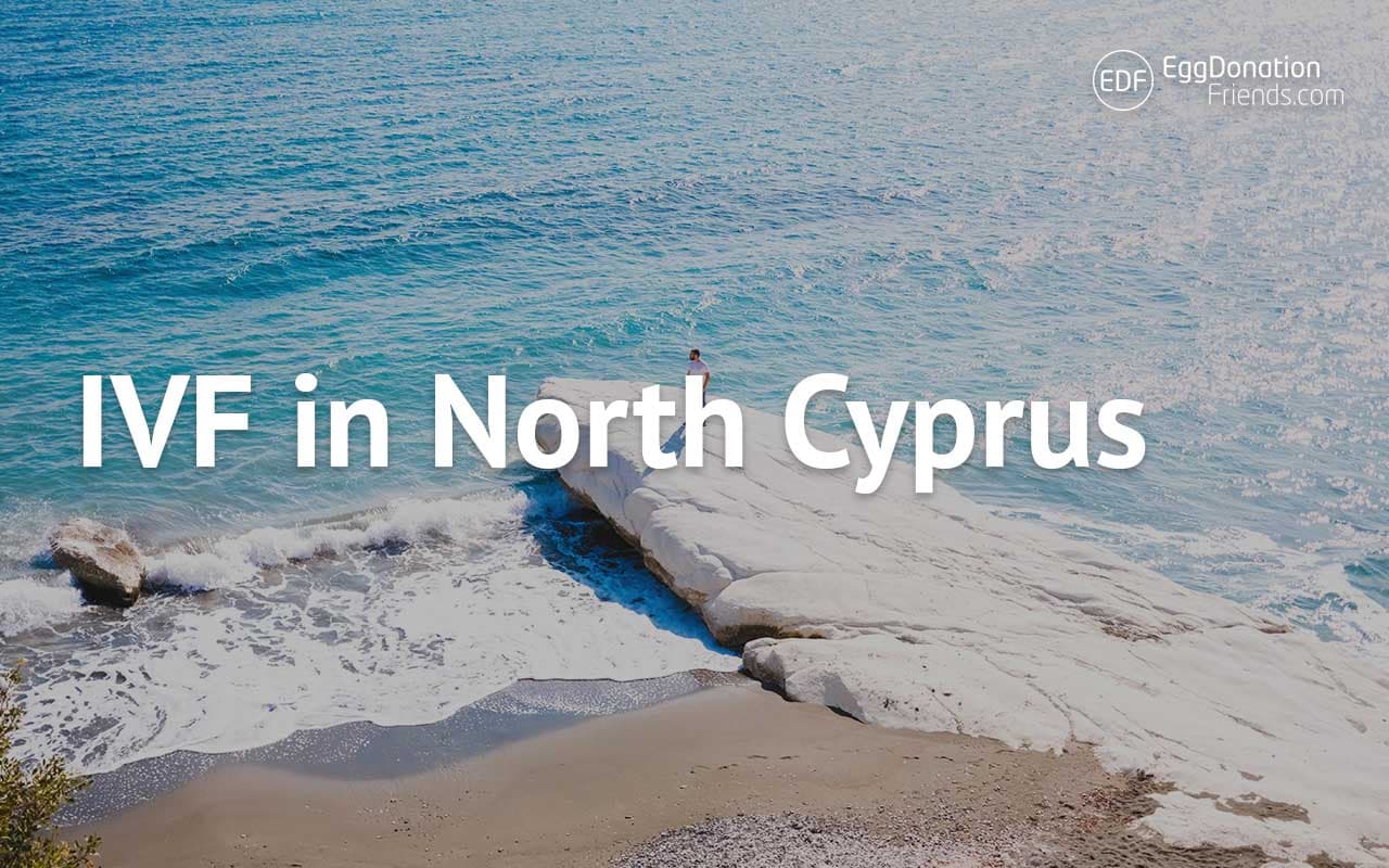 FIV et don d’ovocytes à Chypre du Nord