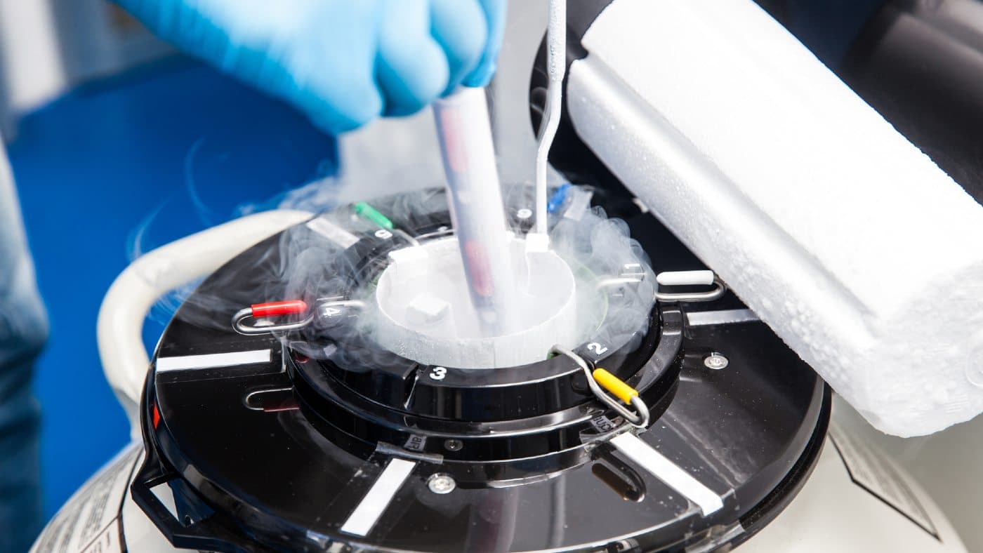 Expédition cryogénique en Europe – coûts, disponibilité et problèmes juridiques