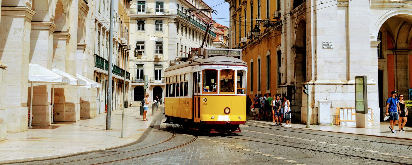 FIV en Portugal