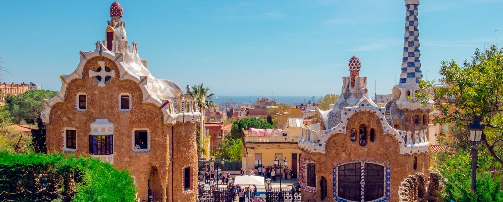 FIV en Espagne