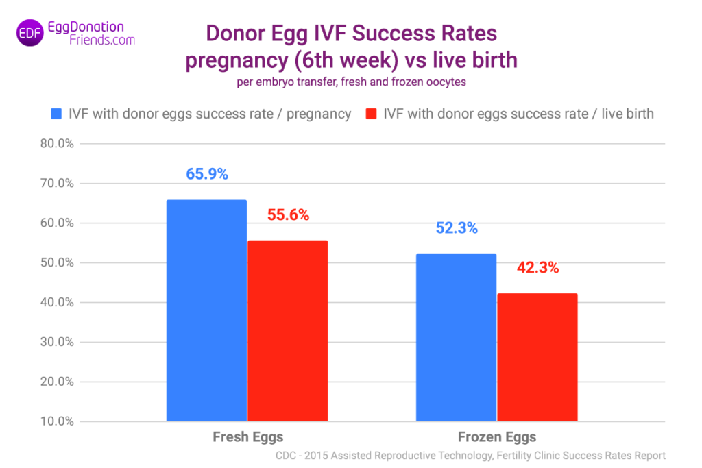 FIV avec donneuse d'ovules – taux de réussite des transferts avec des ovules frais et congelés