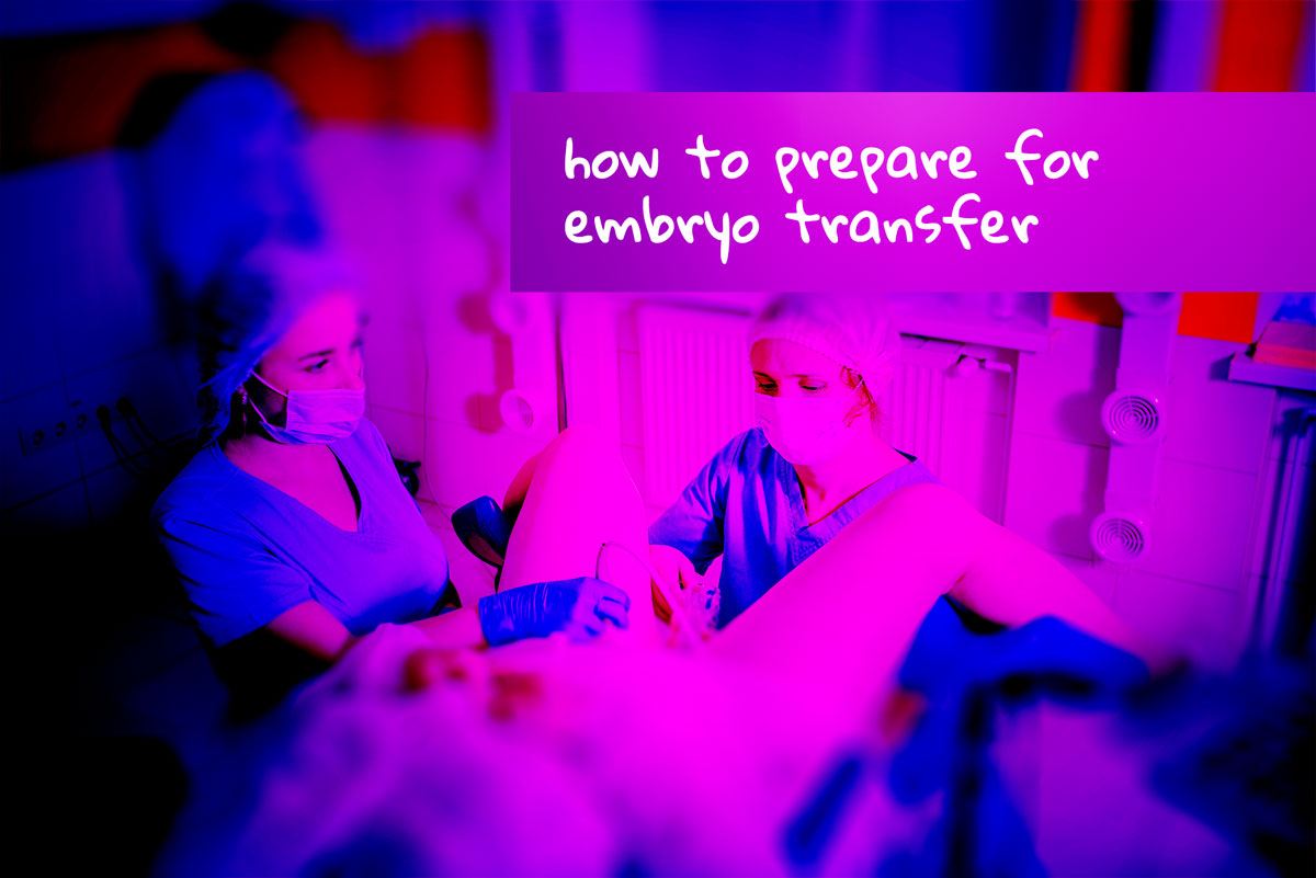 Transfert d'embryons : comment se préparer ? | Les Amis du Don D'ovocytes